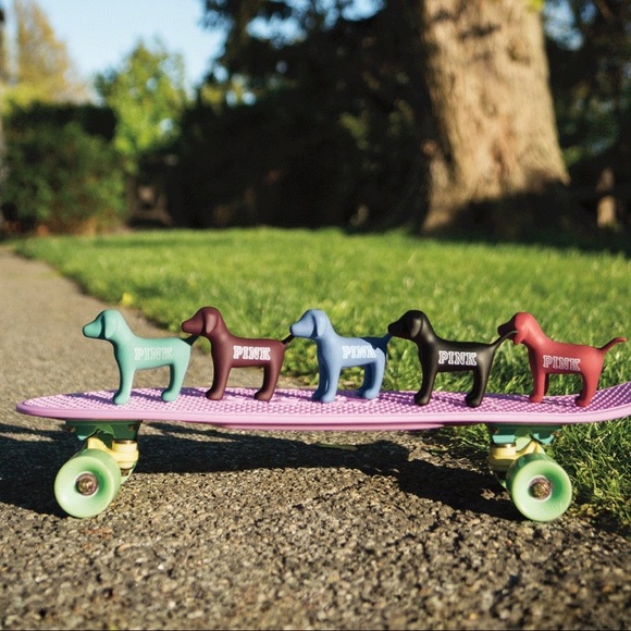 PINK Victoria's Secret Other - 💙NWT Vs pink mini dog